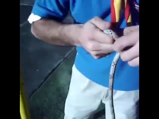 how hard to pull the rope