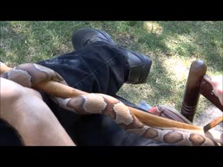 wooden cane with a snake.