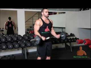 lifting the barbell for standing biceps. lazar angelov